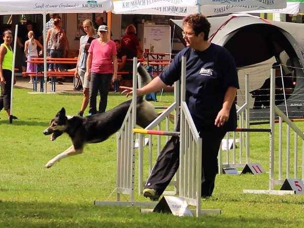 Agility-Sport