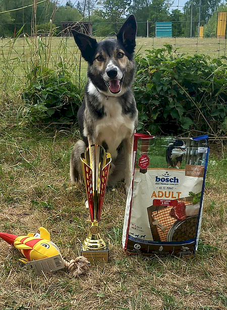 Württembergischer SV-Agility Landesmeister